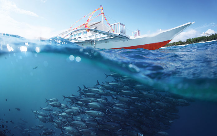 pesca sostenibile
