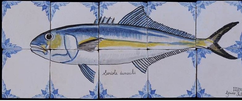 ricciola seriola dumerilii pannello pesce maiolica